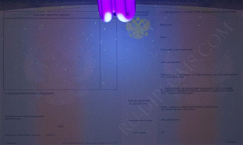 Диплом техникума или колледжа 2014-2025 НОВОГО ОБРАЗЦА 